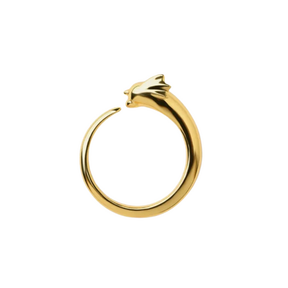 Anillo Pokémon Dratini